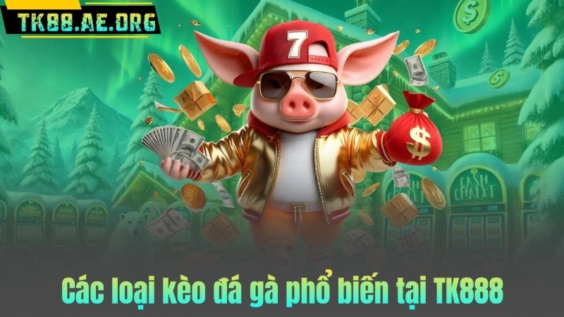 Các loại kèo đá gà phổ biến tại TK888