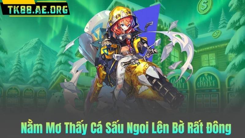 Nằm Mơ Thấy Cá Sấu Ngoi Lên Bờ Rất Đông