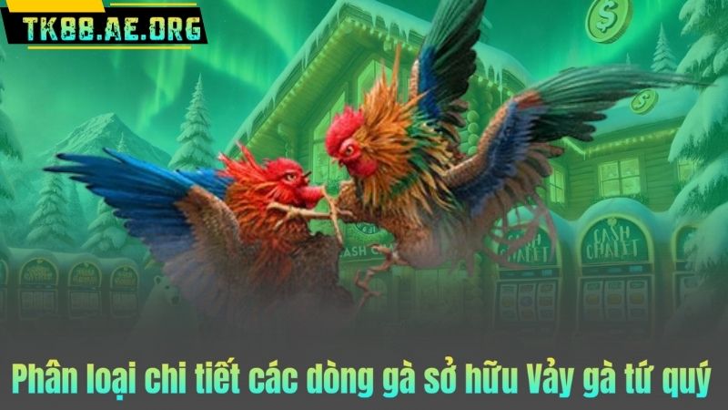 Phân loại chi tiết các dòng gà sở hữu Vảy gà tứ quý