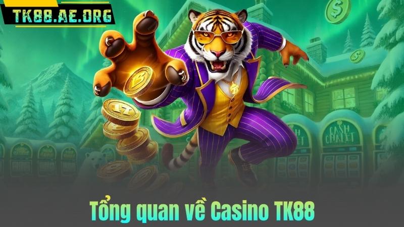 Tổng quan về Casino TK88