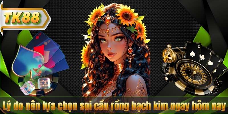 Lý do nên lựa chọn soi cầu rồng bạch kim ngay hôm nay